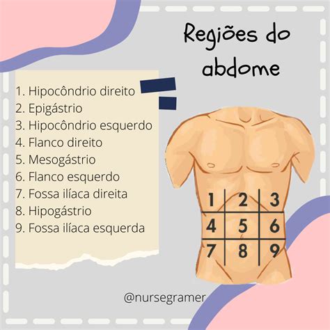 Regioes Do Abdome