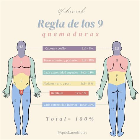 Regla De Los 9