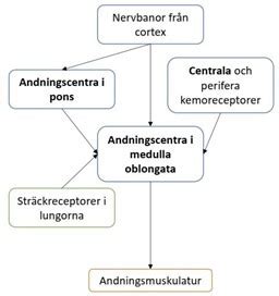 reglering av efterlevnadsprogram