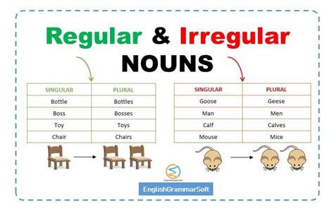 Regular And Irregular Nouns Rules Examples Lists Amp Regular Plural Nouns Worksheet - Regular Plural Nouns Worksheet