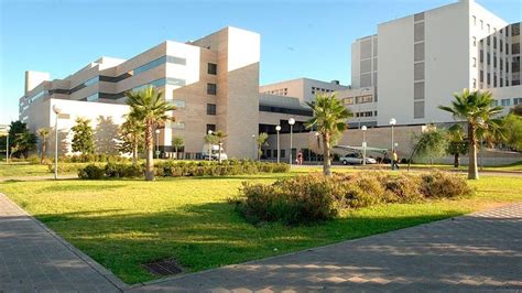 Reina Sofia Cordoba
