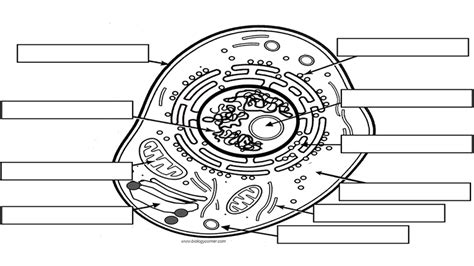 Reinforcement Cell Structures