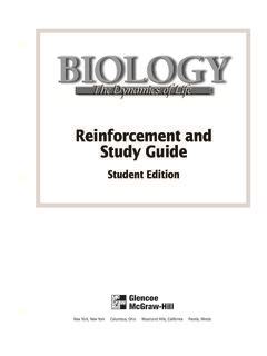 Download Reinforcement And Study Guide Section 142 The Origin Of Life 