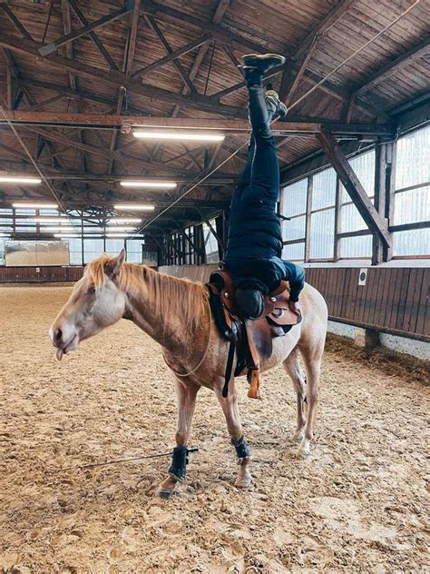 reining stall nrw