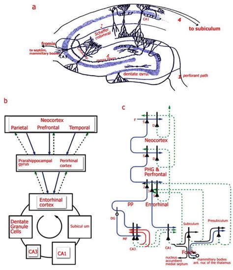 Relational Memory Theory
