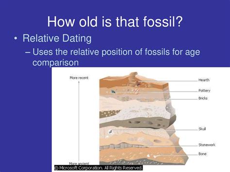 relative dating uses what to estimate how old a fossil is