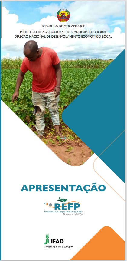 premier bet: Apostas Desportivas Online com Garantia de Segurança Financeira para Todos os Jogadores - Foto 2