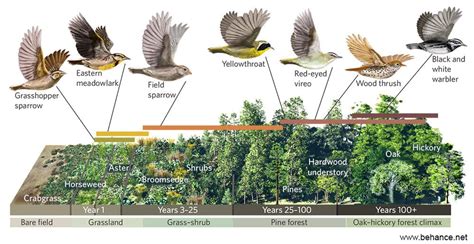 relung adalah | Selogriyo Temple Borobudur Indonesia nh gi Tripadvisor