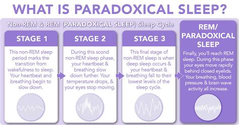Rem Paradoxical Sleep