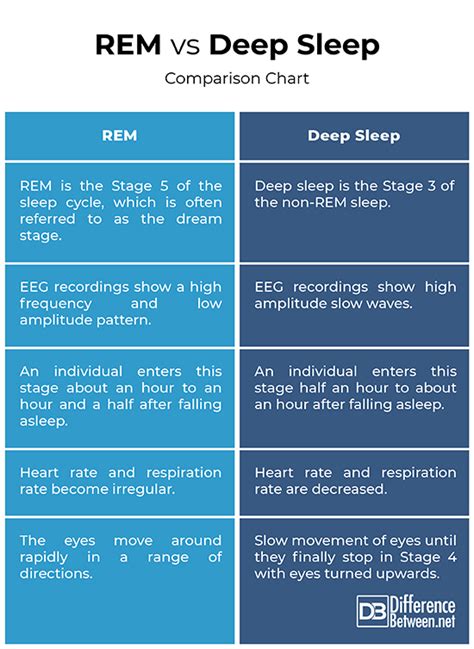 rem sleep vs light sleep vs deep sleep