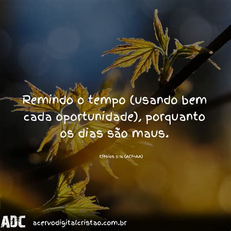 Remindo O Tempo