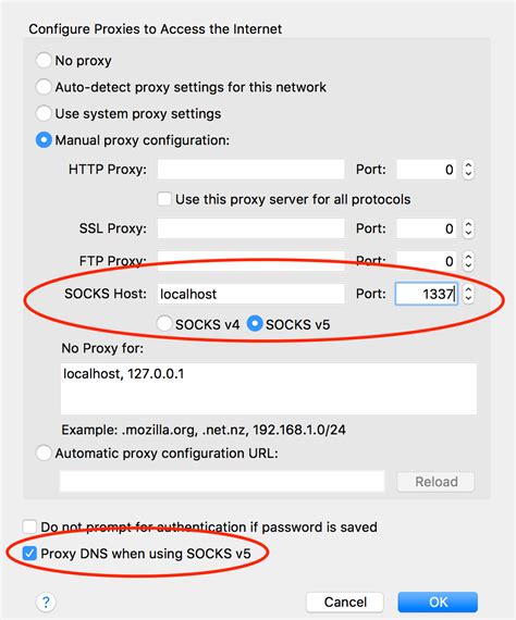 remote DNS for socks5 proxy? #864 - Github