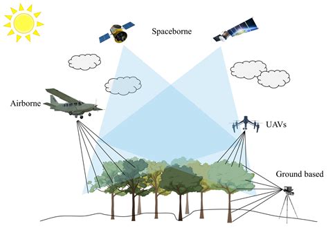 Remote Sensing For Vegetation Science A New Special Vegetable Science - Vegetable Science