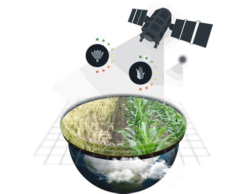 Read Online Remote Sensing Crop Yield Estimation And Agricultural 
