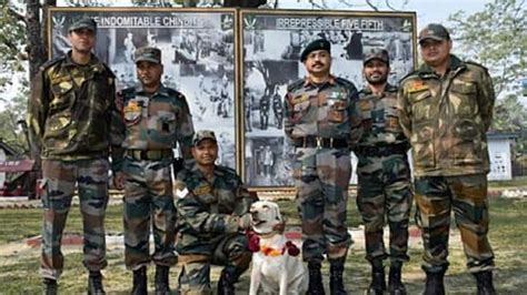 Remount Veterinary Corps
