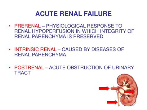 Renal Failure Ppt