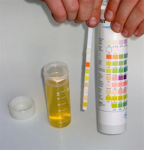 rengöra med urin