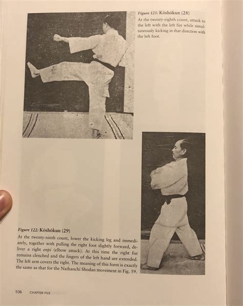 rentan goshin karate jutsu pdf