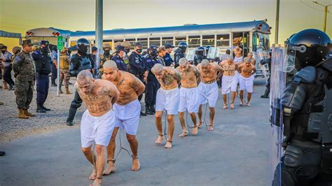 bet7k: Como Apostar nas Apostas Desportivas Online com Garantia de Segurança e Proteção - Foto 2