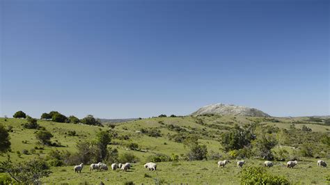 Instagram post by Maximillia Cole #0