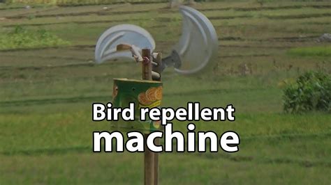 Instagram post by Jakayla Maggio #5