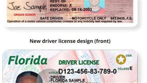 replace license florida