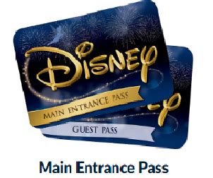 replace main entrance pass