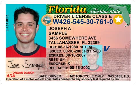 replacement state id florida