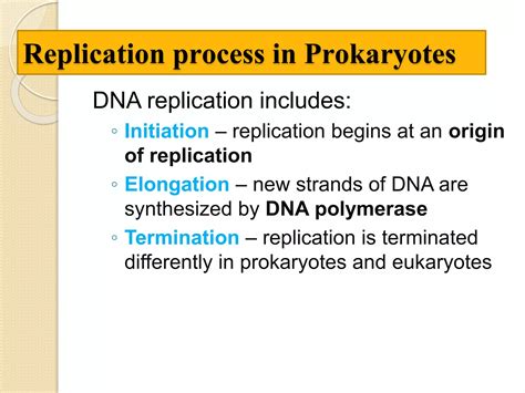 Replication In Prokaryotes Ppt