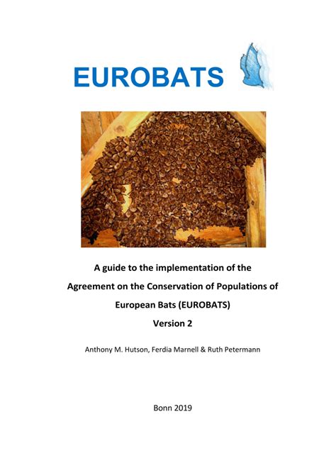 Read Online Report On Eurobats 