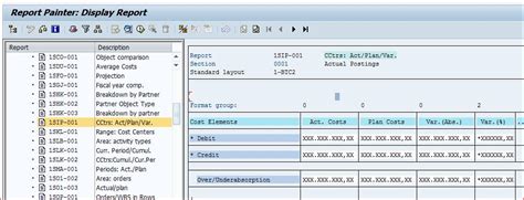 Read Online Report Painter Sap 