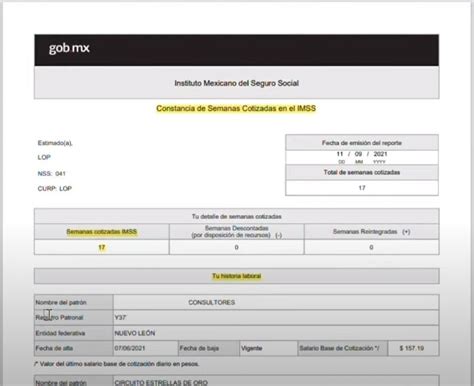 Reporte De Semanas Cotizadas