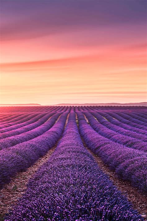 Instagram post by Enid Gleichner #2