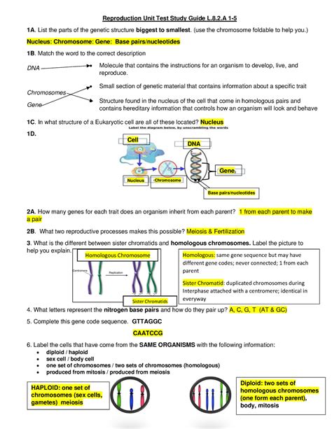 reproduction unit test key