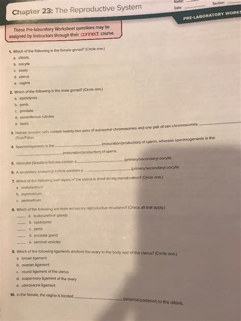 Read Reproductive System Chapter Test Answer Key 