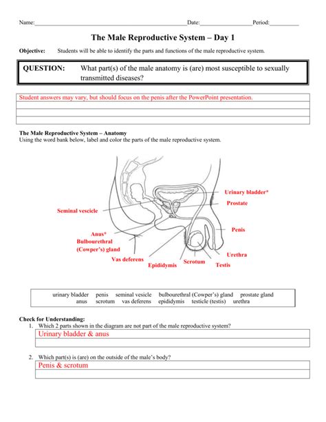 Download Reproductive System Test With Answers 