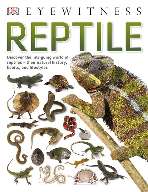 Reptile Books For Kids Book Reviews Reptiles Childrenu0027s Reptile Math - Reptile Math