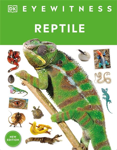 reptile dk eyewitness