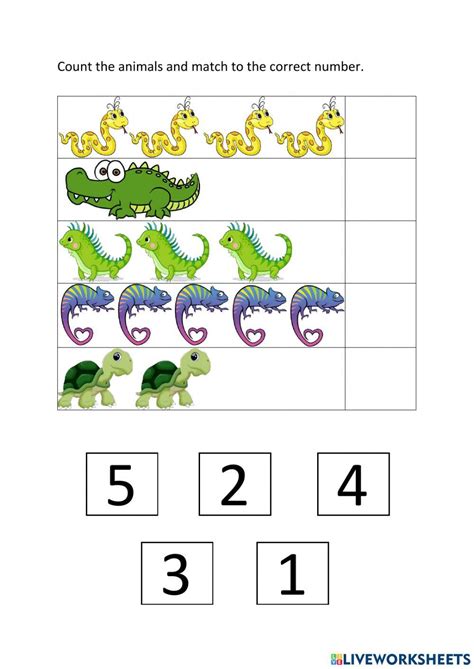 Reptile Math