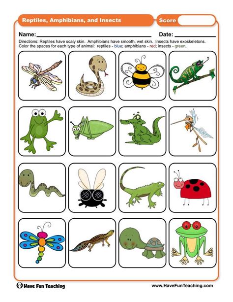 Reptiles Amphibians And Insects Worksheet Have Fun Teaching Life Reptiles And Amphibians Worksheet - Life Reptiles And Amphibians Worksheet