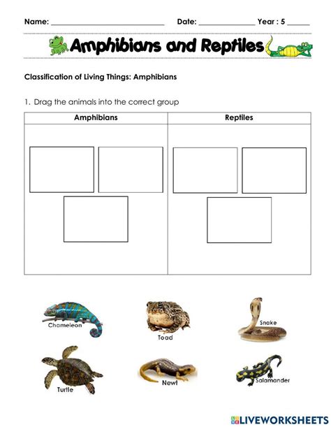 Reptiles And Amphibians Interactive Worksheet Live Worksheets Life Reptiles And Amphibians Worksheet - Life Reptiles And Amphibians Worksheet