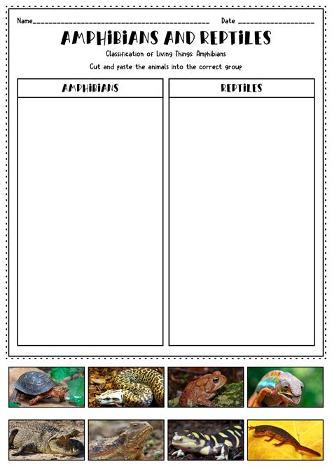 Reptiles And Amphibians Worksheet Learnforyourlife Life Reptiles And Amphibians Worksheet - Life Reptiles And Amphibians Worksheet