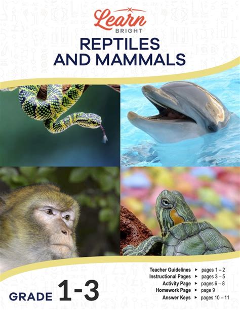 Reptiles And Mammals Free Pdf Download Learn Bright Mammal Worksheet First Grade - Mammal Worksheet First Grade