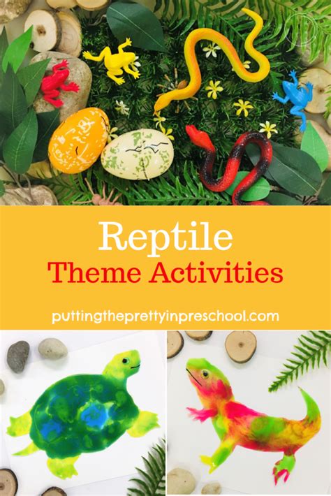 Reptiles Kindergarten   Children Get Hands On With Reptiles At Northside - Reptiles Kindergarten