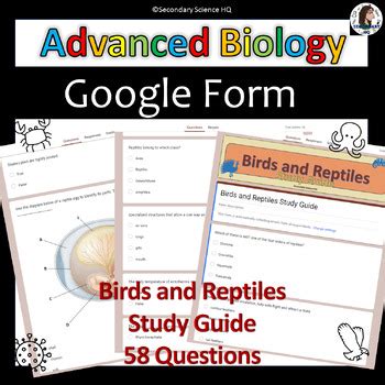Full Download Reptiles And Birds Study Guide 