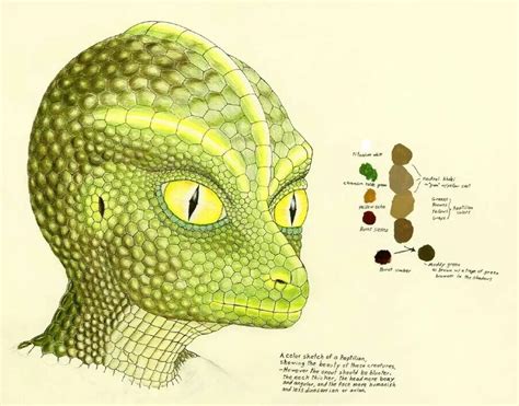 reptilian drawing
