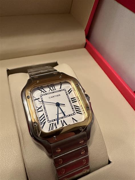 reptime image 3