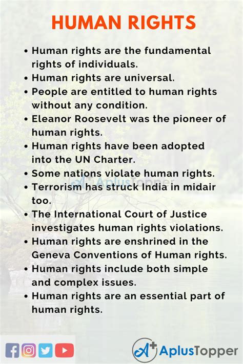 Download Research Paper On Human Rights 
