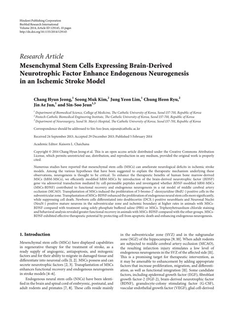 Read Research Paper On Stem Cells 