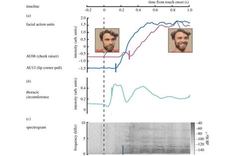 Researchers Measure The Tickle Response In Humans And Tickle Science - Tickle Science